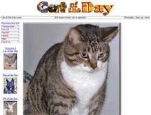 Tablet Screenshot of catoftheday.com